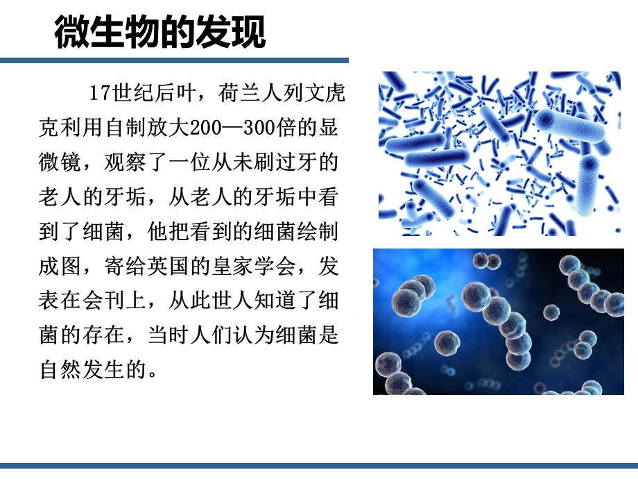 奇妙的微生物世界ppt课件.ppt_第3页