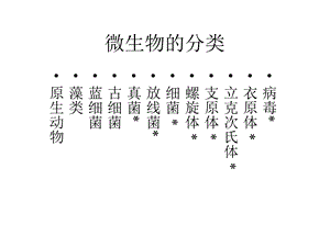 微生物分类ppt课件.ppt