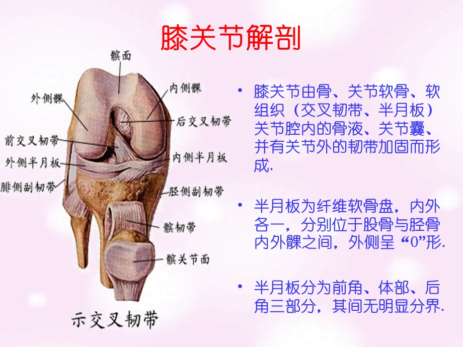 常见膝部关节镜手术及术后康复程序ppt课件.ppt_第2页