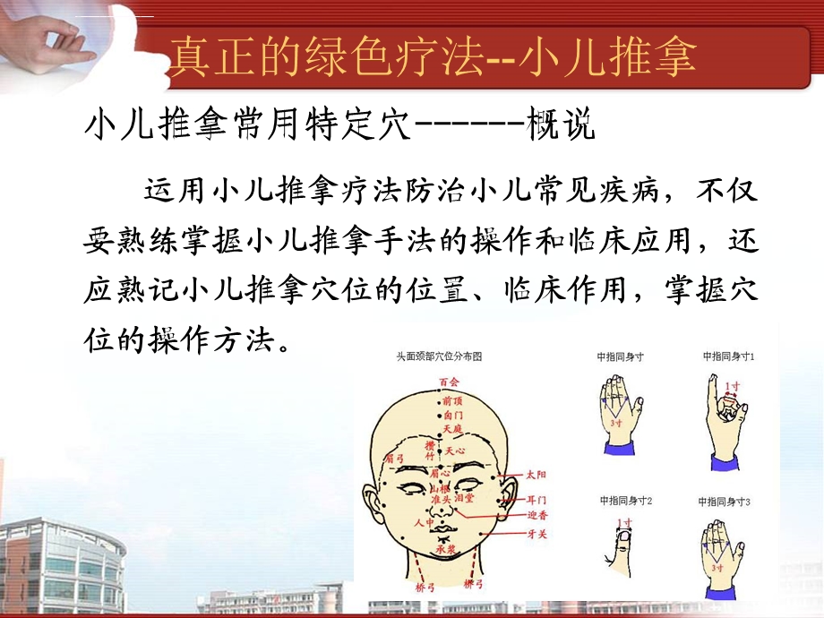 小儿推拿常用特定穴——专篇ppt课件.ppt_第2页