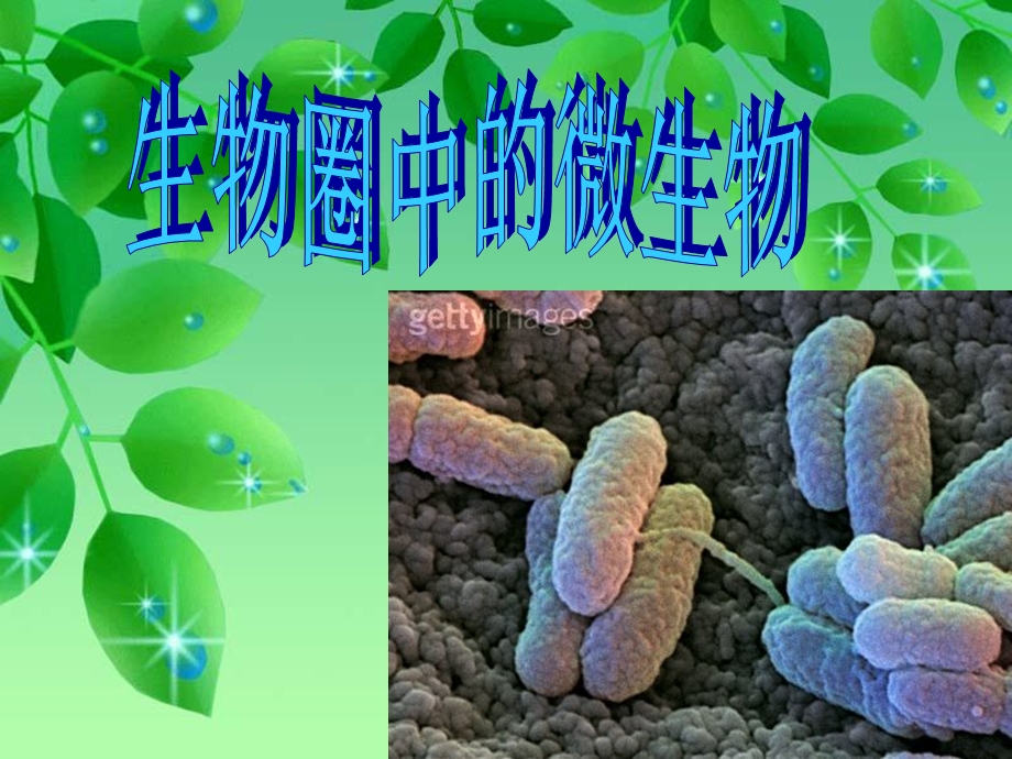 微生物PPT课件.ppt_第1页