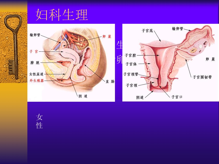 妇科腹腔镜手术配合ppt课件.ppt_第2页