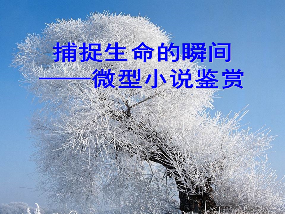 微型小说鉴赏ppt课件.ppt_第1页