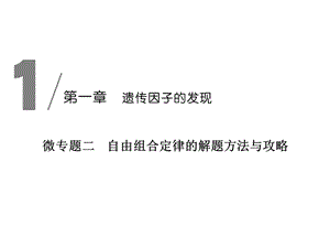 微专题二自由组合定律的解题方法和攻略ppt课件.ppt