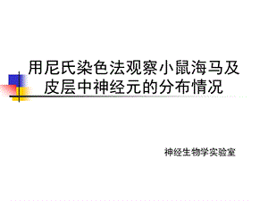 尼氏染色 全面ppt课件.ppt