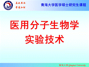 实验四、PCR产物的T载体克隆和转化ppt课件.ppt