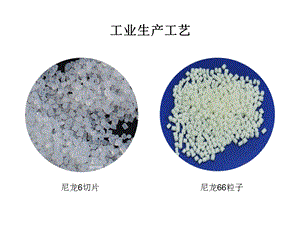 尼龙工业生产工艺课件.ppt