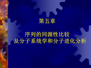 序列的同源性比较及分子系统学和分子进化分析ppt课件.ppt