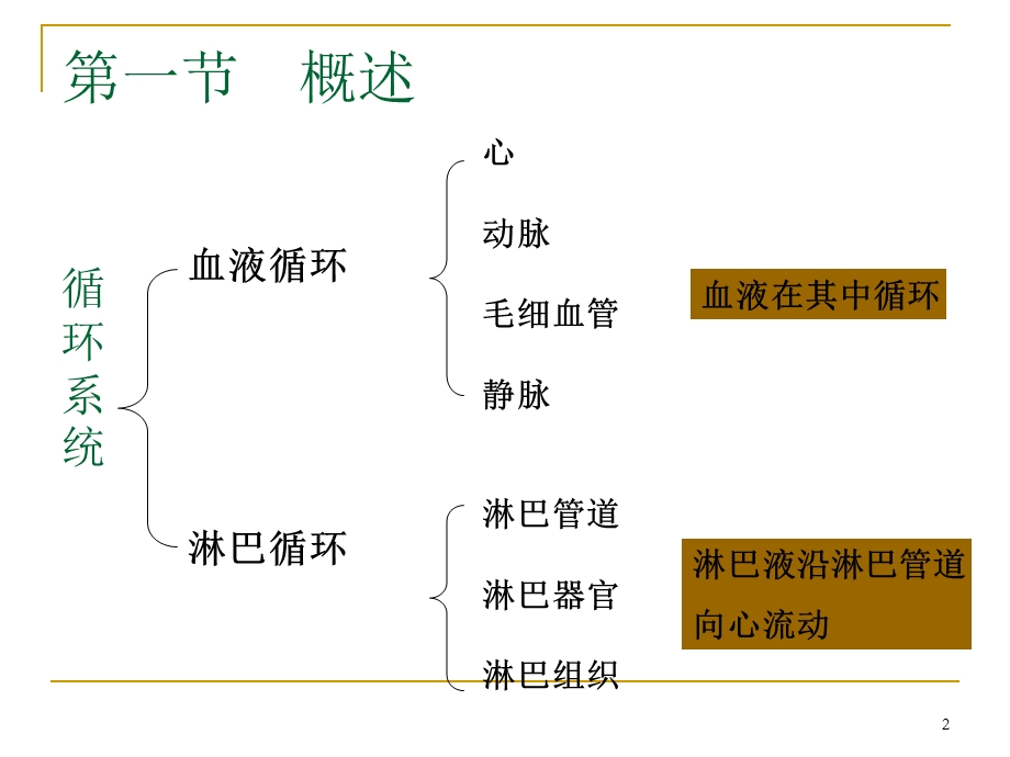 心血管系统解剖ppt课件.ppt_第2页