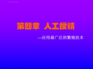 家畜的人工授精ppt课件.ppt