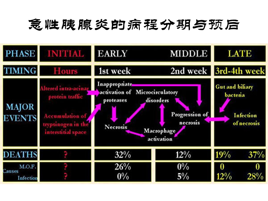 急性胰腺炎早期肠内营养 1知识ppt课件.ppt_第3页