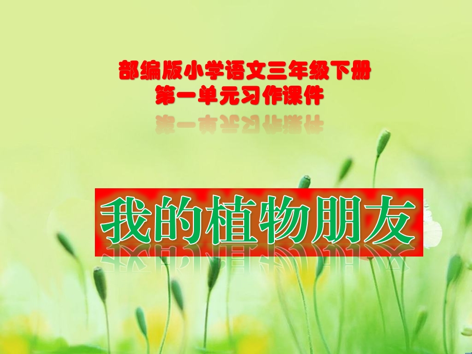 我的植物朋友习作PPT课件.pptx_第1页