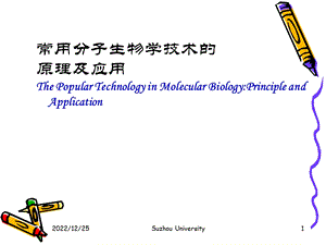 常用的分子生物学技术原理及应用ppt课件.ppt