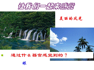 感觉世界（公开课ppt课件）.ppt