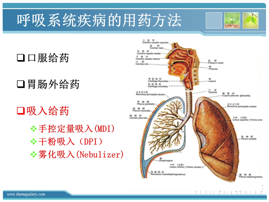 常用吸入药物的使用及注意事项ppt课件.ppt_第3页