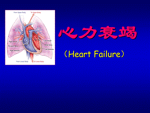 心力衰竭ppt课件(经典).ppt