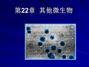 微生物 第22章 其他原核细胞型微生物ppt课件.ppt