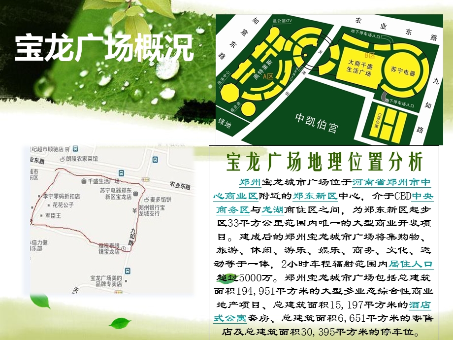 宝龙广场植物造景调研ppt课件.ppt_第3页