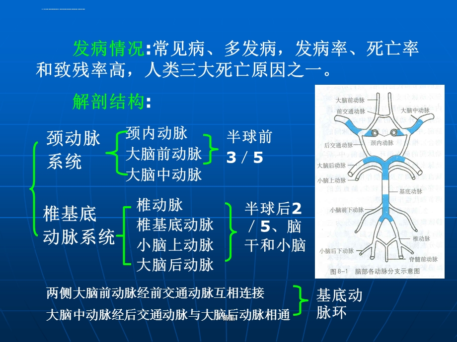 急性脑血管疾病培训ppt课件.ppt_第2页