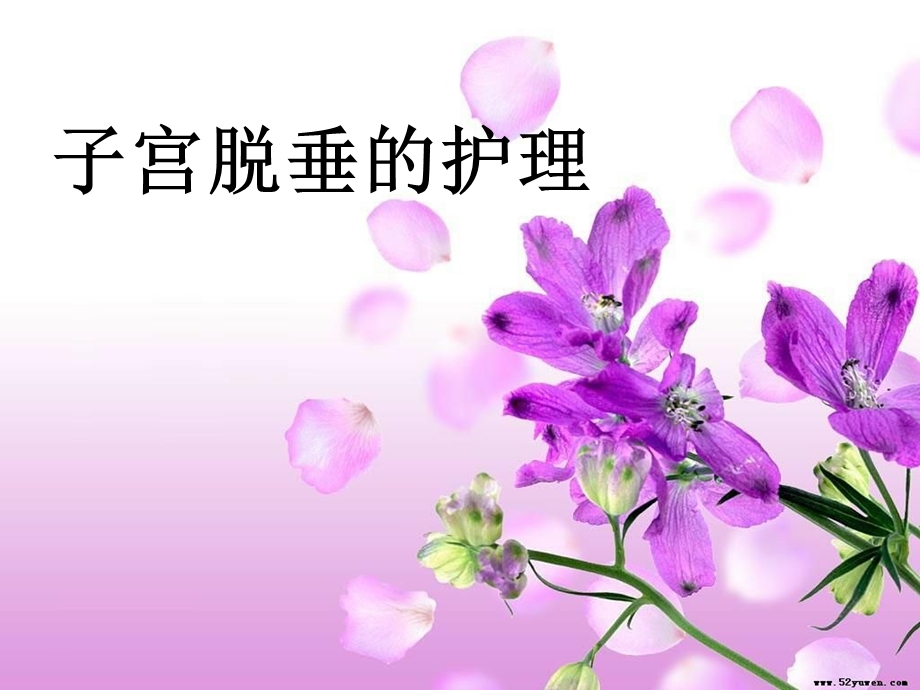 子宫脱垂的护理ppt课件.ppt_第1页