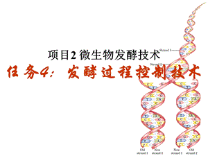 微生物发酵技术ppt课件.ppt