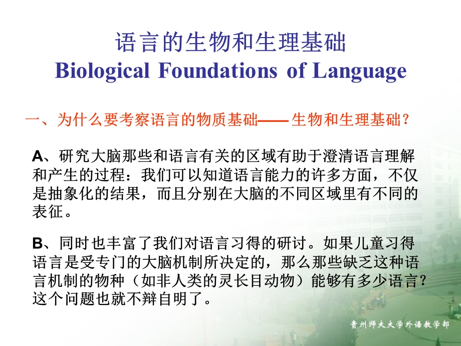 心理语言学 PPT课件.ppt_第2页