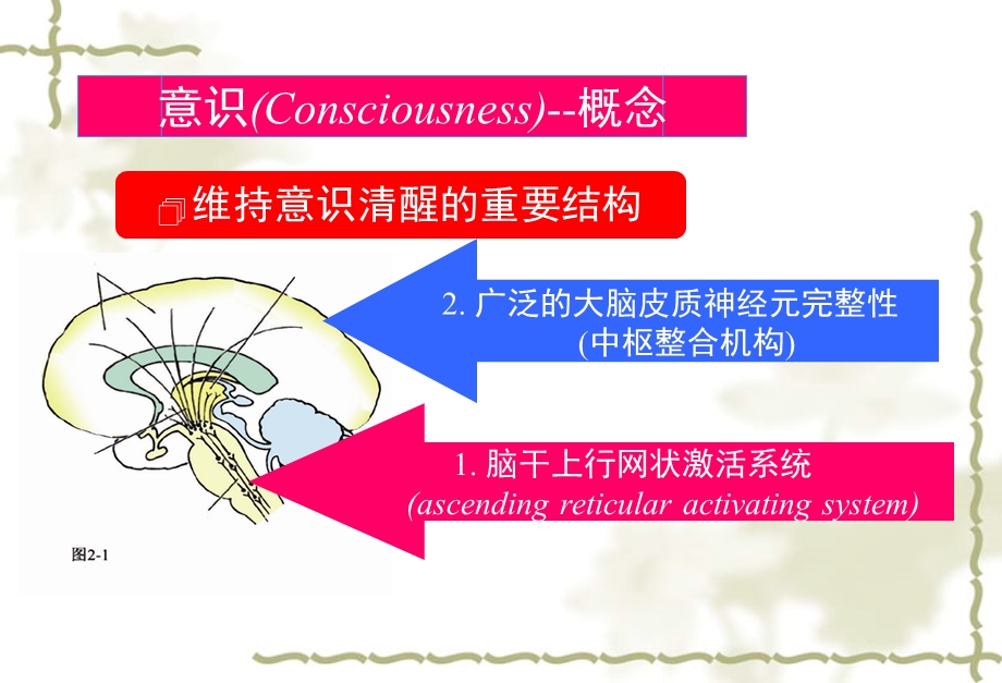 意识障碍分级ppt课件.ppt_第3页