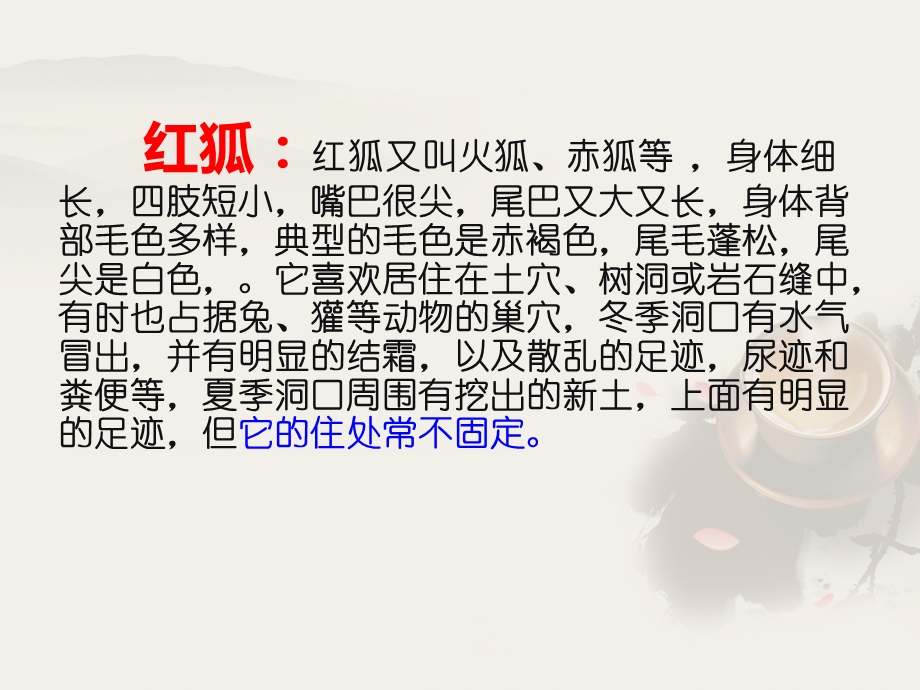 怀念红狐 PPT课件.ppt_第3页