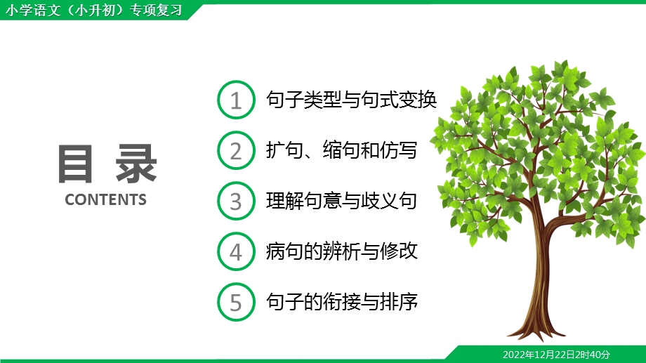 小学语文(小升初)总复习专题四句式改写修改病句ppt课件.pptx_第2页