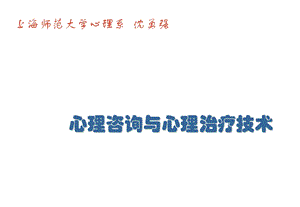 心理咨询与心理治疗技术 沈勇强ppt课件.ppt