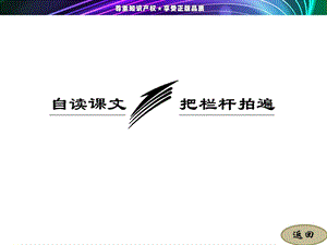 把栏杆拍遍(梁衡)ppt课件.ppt