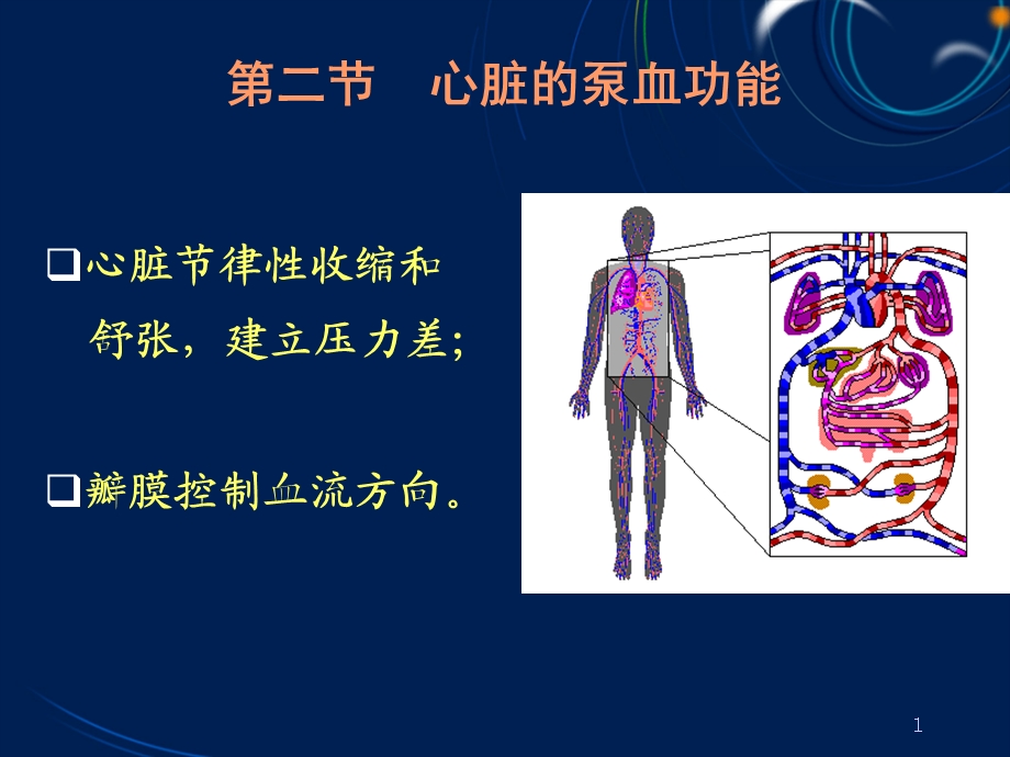 循环系统4 心泵血过程ppt课件.ppt_第1页