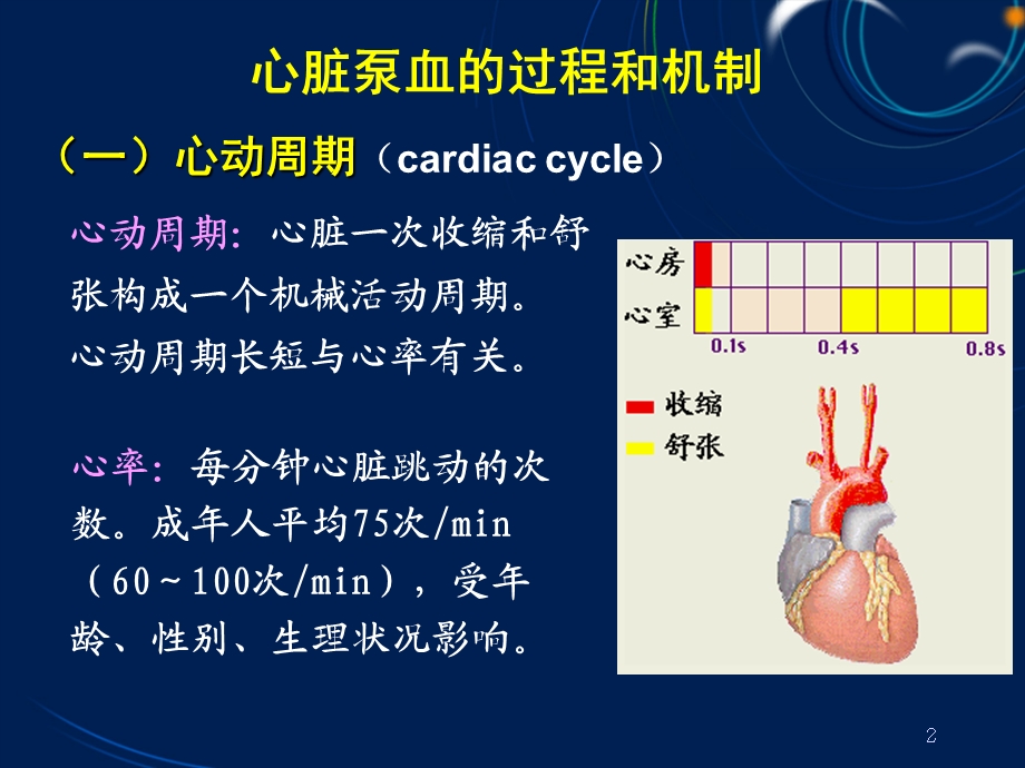 循环系统4 心泵血过程ppt课件.ppt_第2页