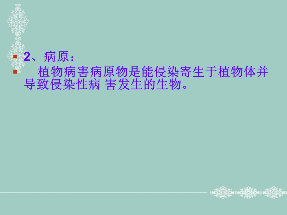 常见蔬菜病虫害的识别与防治ppt课件.ppt_第3页