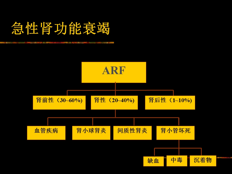 急性肾功能衰竭ppt课件.ppt_第3页