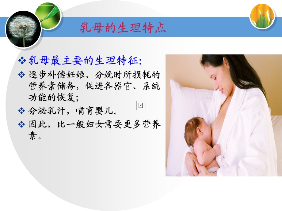 孕妇乳母营养与膳食分析ppt课件.ppt_第2页