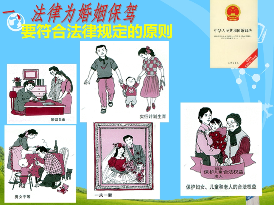 婚姻法和继承法ppt课件.ppt_第2页