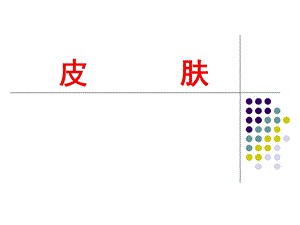 感觉器官皮肤ppt课件.ppt