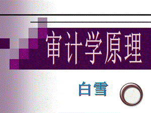 审计学原理ppt课件(全).ppt