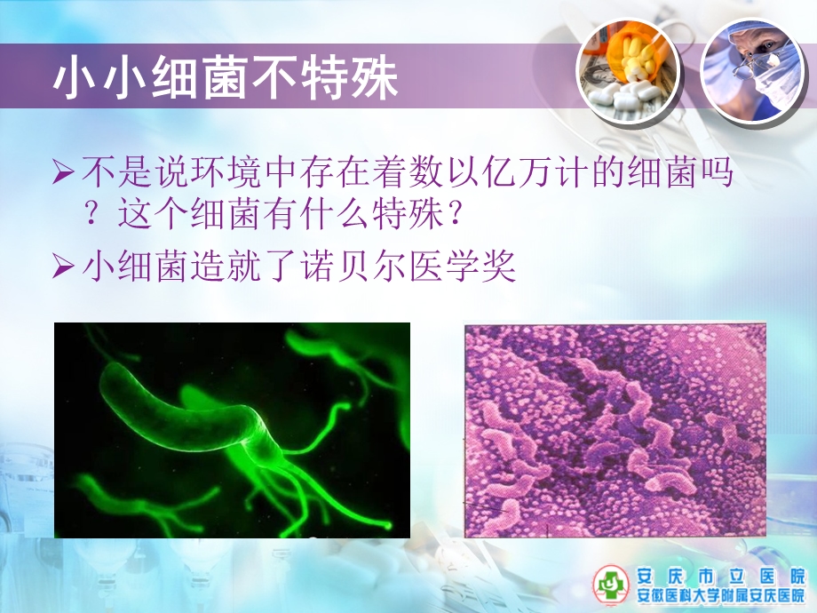 幽门螺旋杆菌科普ppt课件.ppt_第3页