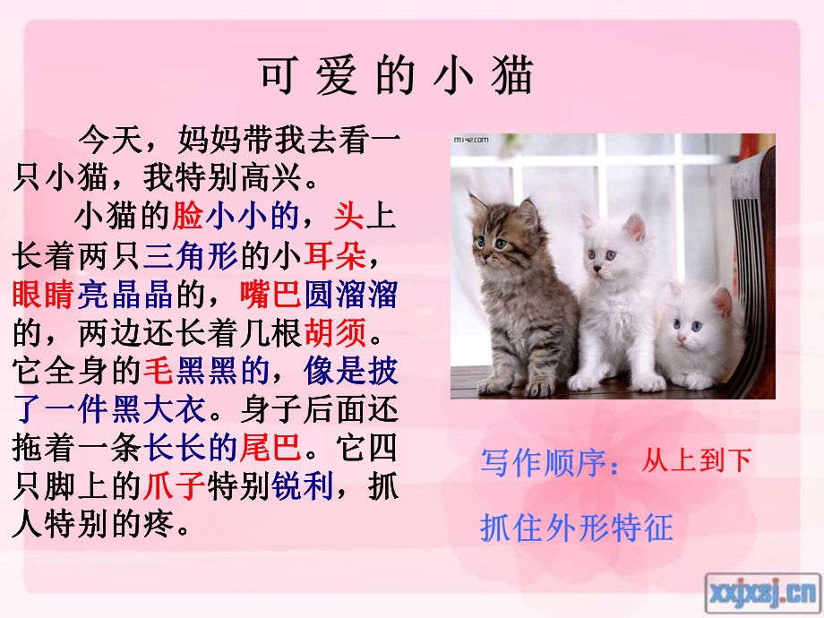 我喜欢的小动物（作文教学ppt课件）.ppt_第3页