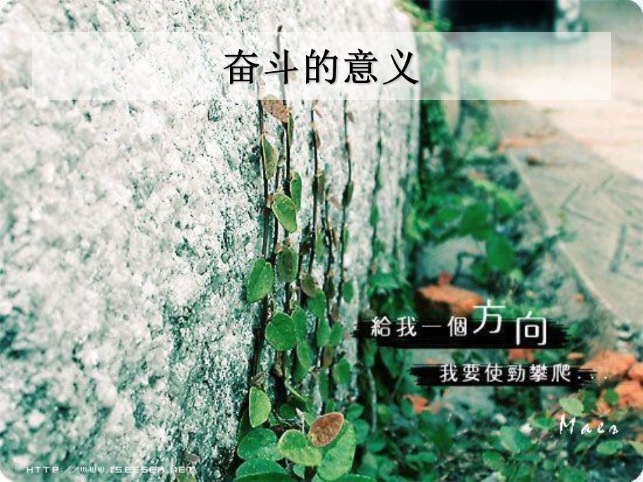 奋斗的青春最美丽ppt课件.ppt_第2页