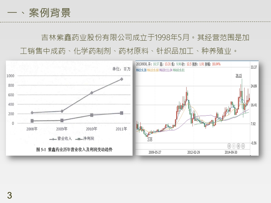 审计ppt课件 紫鑫药业.pptx_第3页