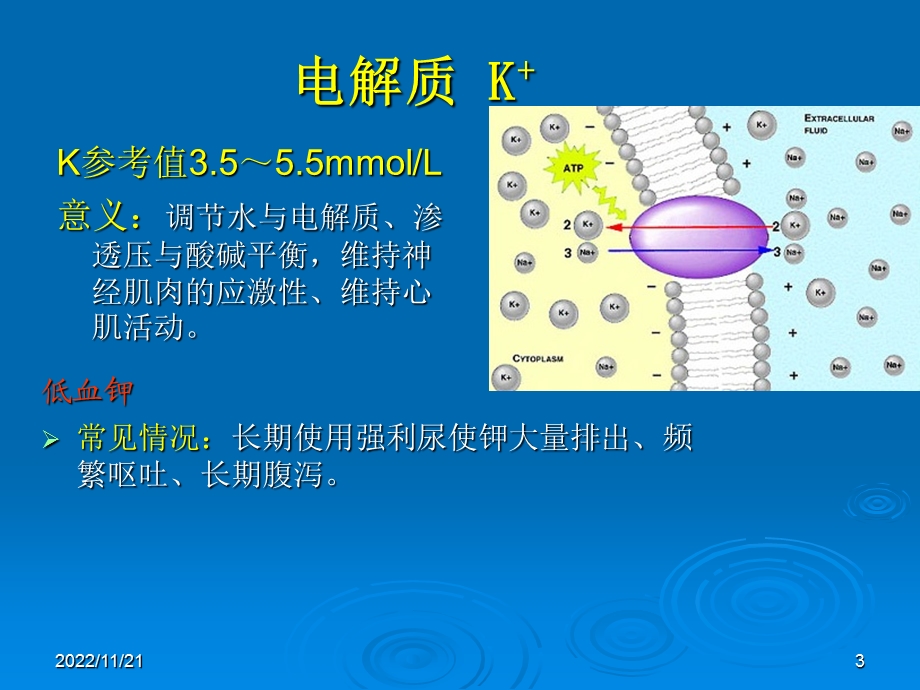 心内科常见检查及其意义ppt课件.pptx_第3页