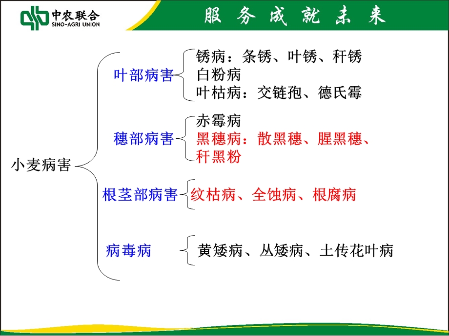 小麦主要病虫害ppt课件.ppt_第1页