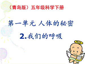 小学科学ppt课件我们的呼吸.ppt