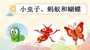 小虫子 小蚂蚁和蝴蝶ppt课件.ppt