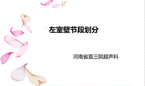 左室壁节段划分ppt课件.ppt