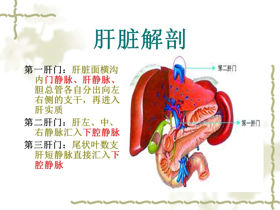 布加氏综合征ppt课件.ppt_第3页