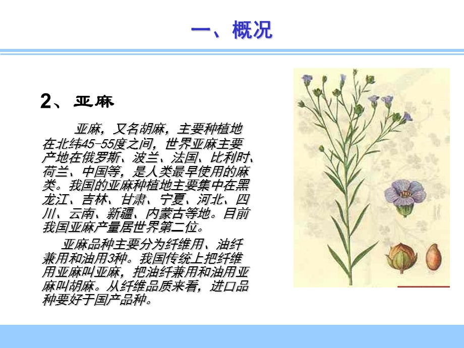 常用麻纤维的鉴别ppt课件.ppt_第3页